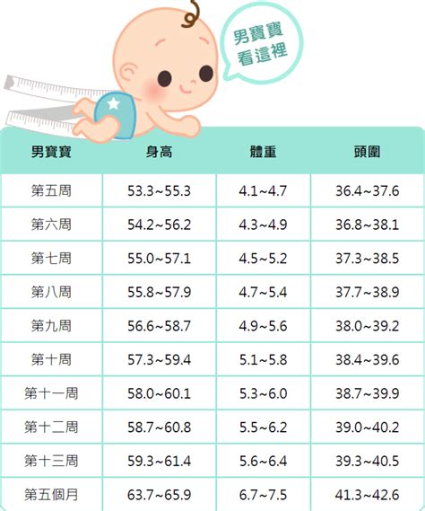 小寶寶出生|胎兒1~10個月的成長歷程